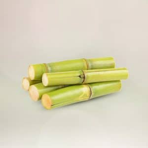 Sugarcane-fresh